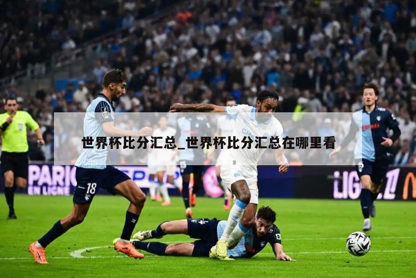 世界杯比分汇总_世界杯比分汇总在哪里看