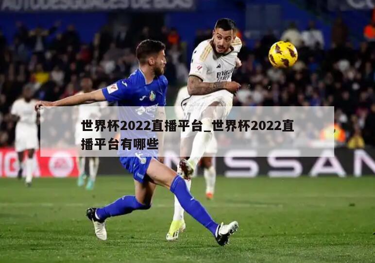 世界杯2022直播平台_世界杯2022直播平台有哪些