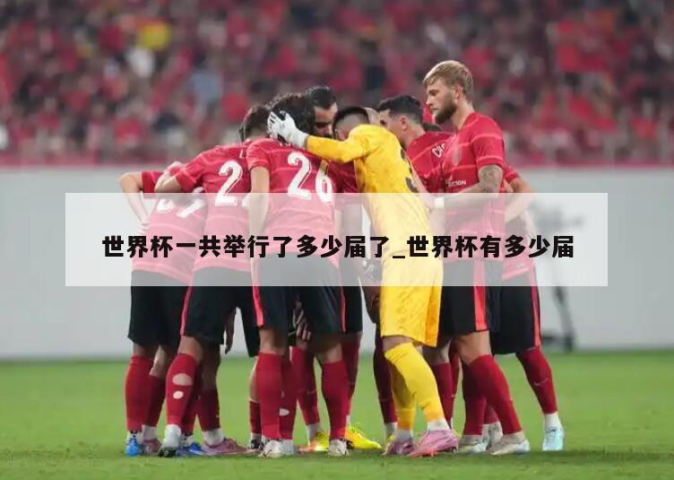 世界杯一共举行了多少届了_世界杯有多少届