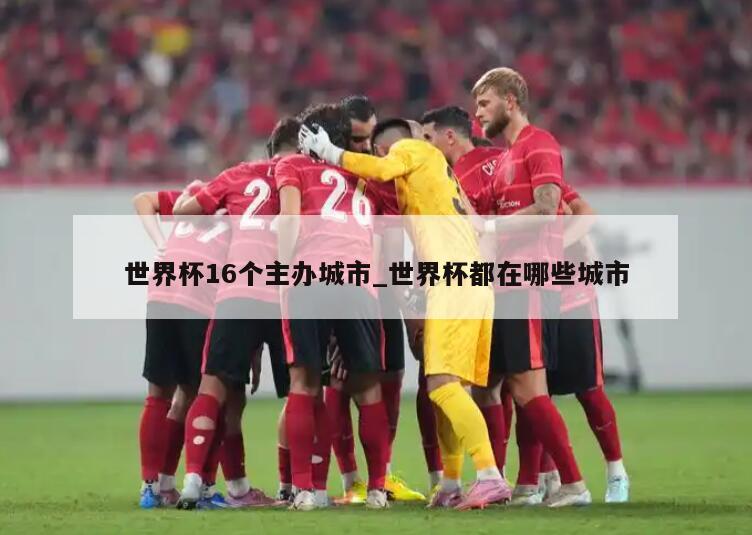 世界杯16个主办城市_世界杯都在哪些城市