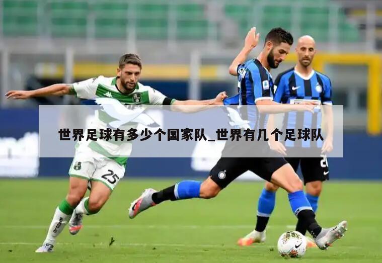 世界足球有多少个国家队_世界有几个足球队