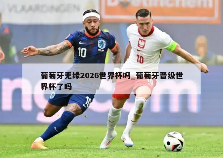 葡萄牙无缘2026世界杯吗_葡萄牙晋级世界杯了吗
