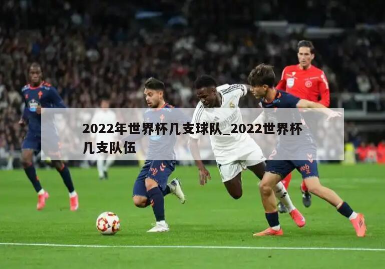 2022年世界杯几支球队_2022世界杯几支队伍