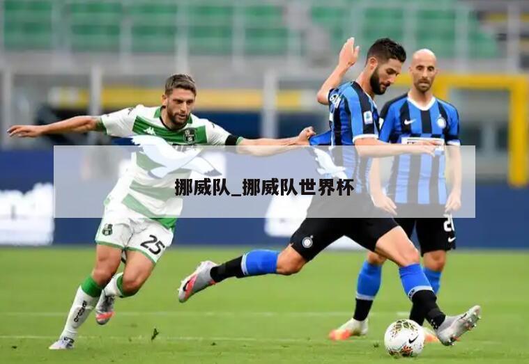 挪威队_挪威队世界杯