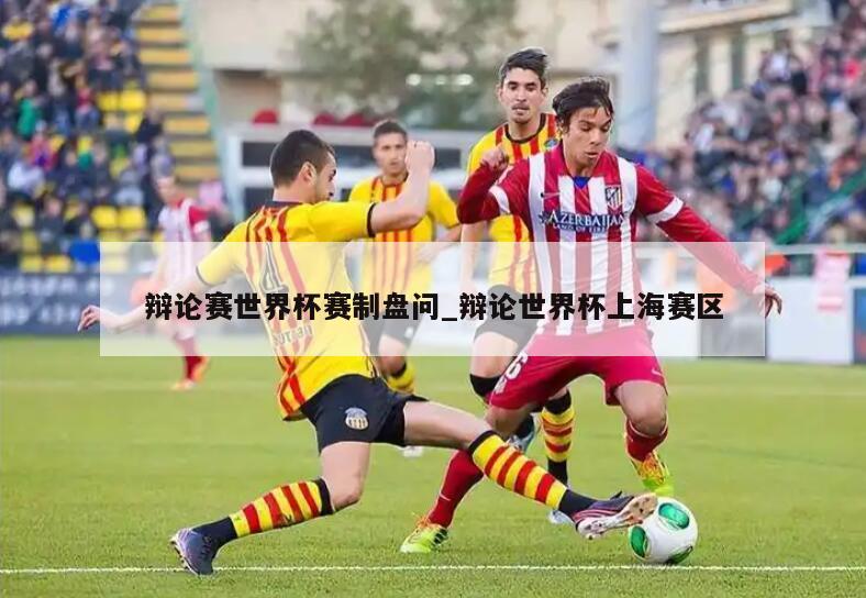 辩论赛世界杯赛制盘问_辩论世界杯上海赛区