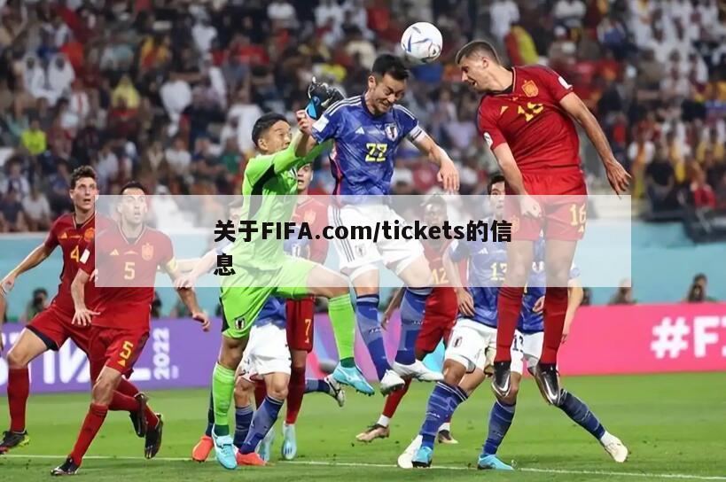 关于FIFA.com/tickets的信息