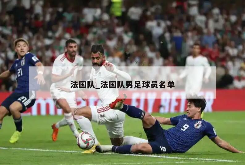 法国队_法国队男足球员名单