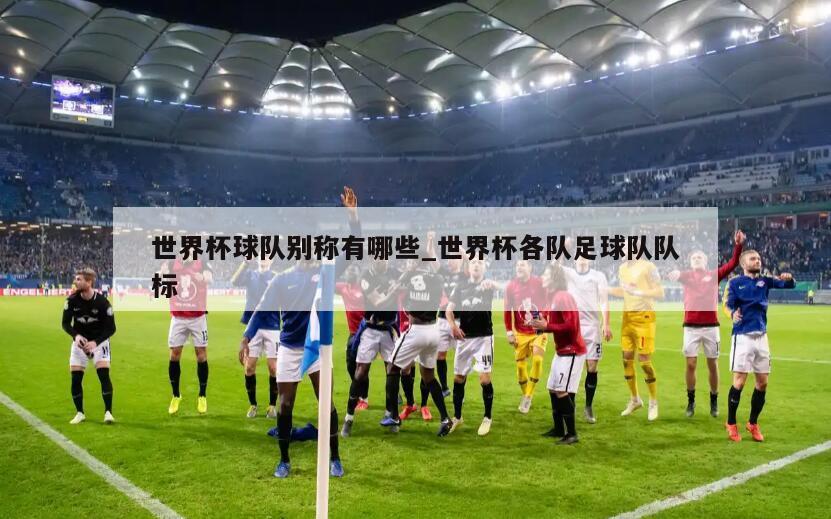 世界杯球队别称有哪些_世界杯各队足球队队标