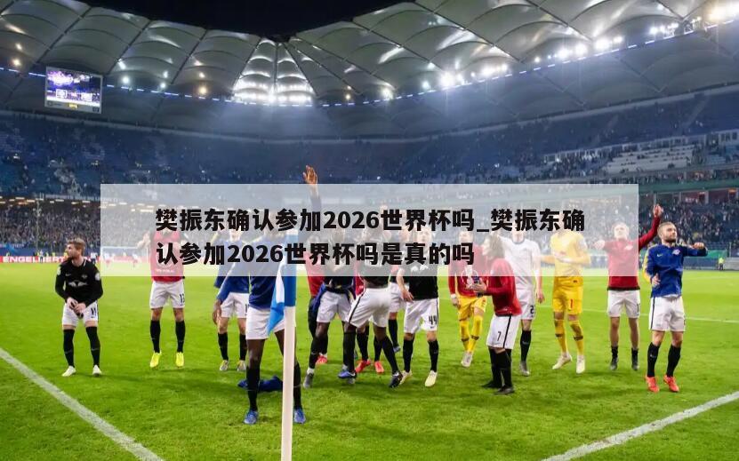 樊振东确认参加2026世界杯吗_樊振东确认参加2026世界杯吗是真的吗