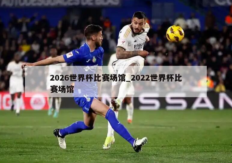 2026世界杯比赛场馆_2022世界杯比赛场馆
