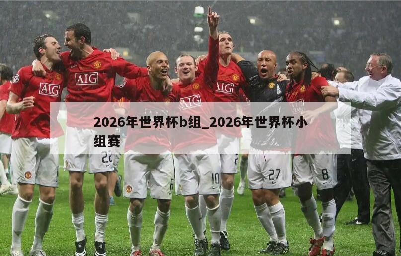2026年世界杯b组_2026年世界杯小组赛