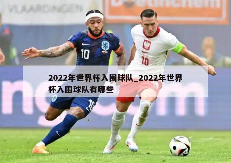 2022年世界杯入围球队_2022年世界杯入围球队有哪些