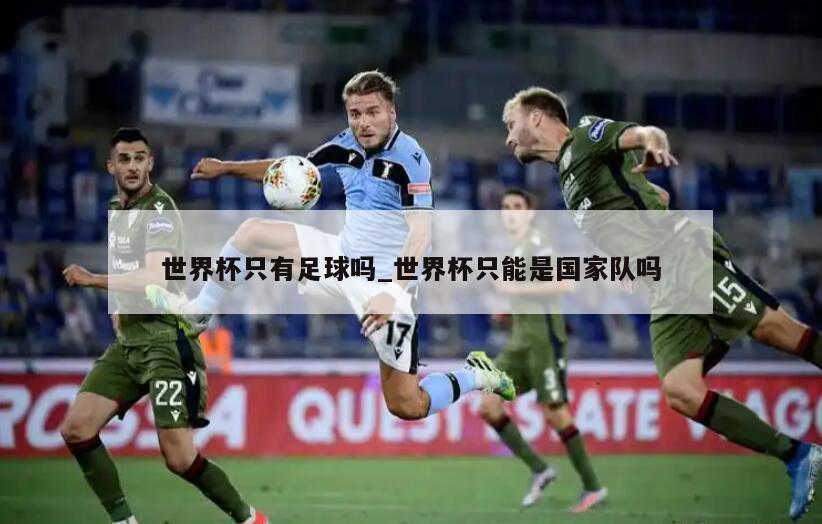 世界杯只有足球吗_世界杯只能是国家队吗
